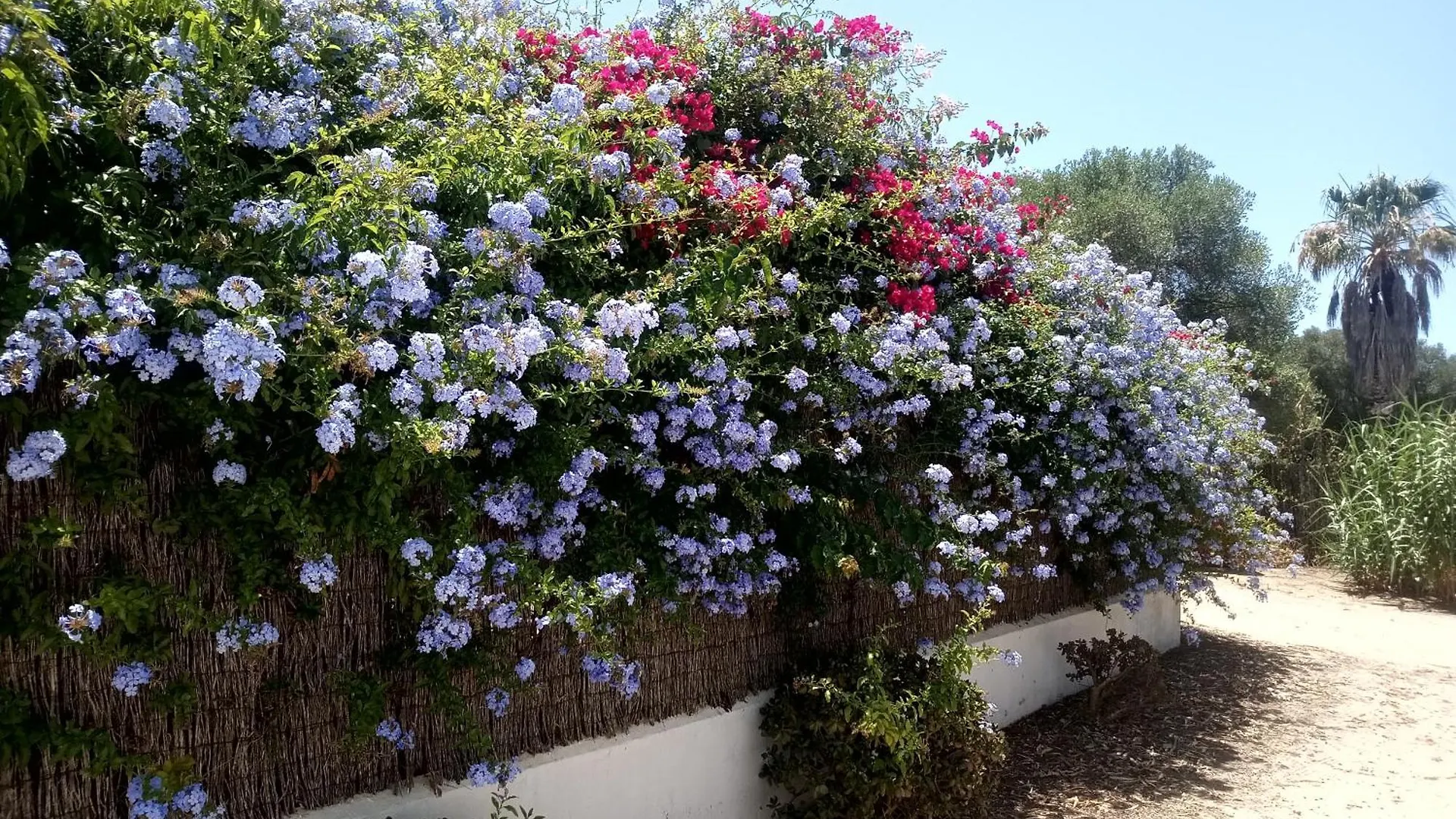 Villa Delos Cadiz Spain
